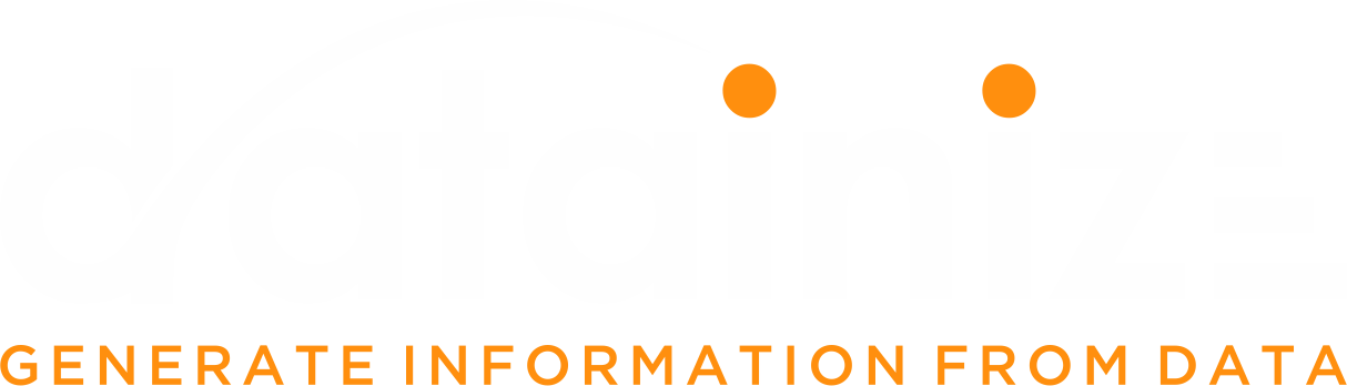 Datainize Logo